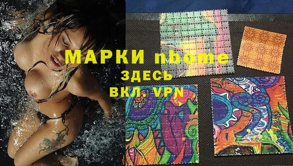 шишки Богородицк