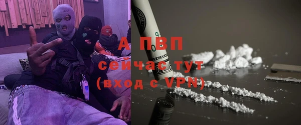 шишки Богородицк