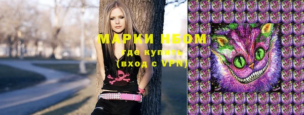 шишки Богородицк