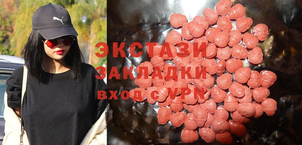 шишки Богородицк