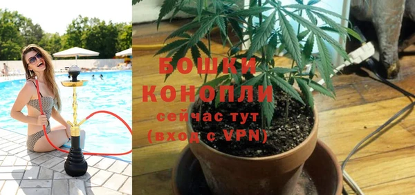 шишки Богородицк