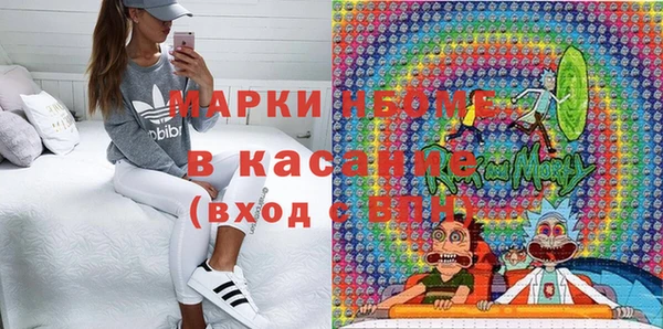 шишки Богородицк