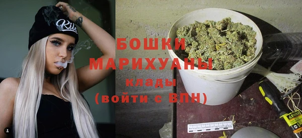 шишки Богородицк