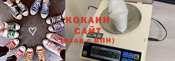 шишки Богородицк