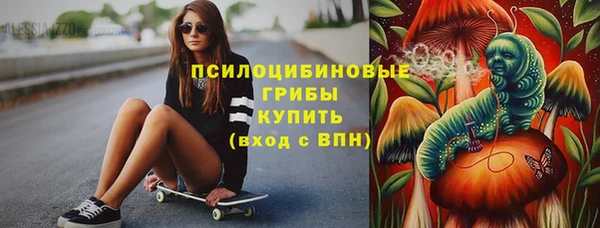 прущие грибы Покров