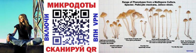 цены   Красноуральск  Галлюциногенные грибы Psilocybine cubensis 
